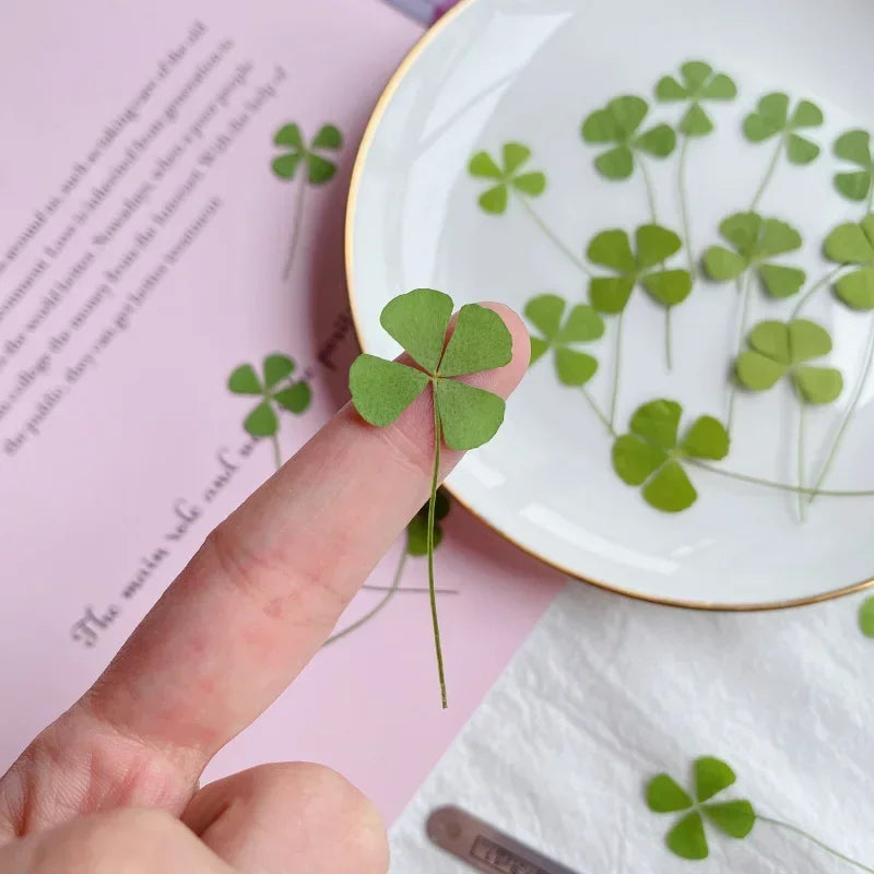 24pcs Four Leaf Clover For Epoxy Resin Crafts