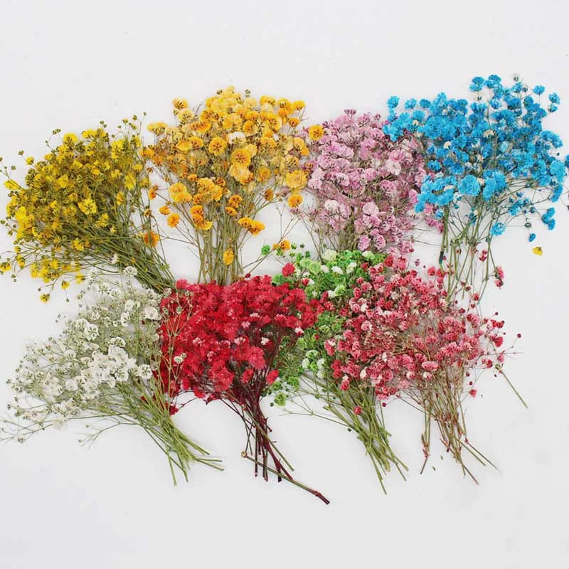 Natural Dried Flowers for Resin Projects