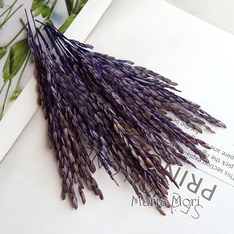 5g  Dried and Dyed Broomcorn for Resin Crafts