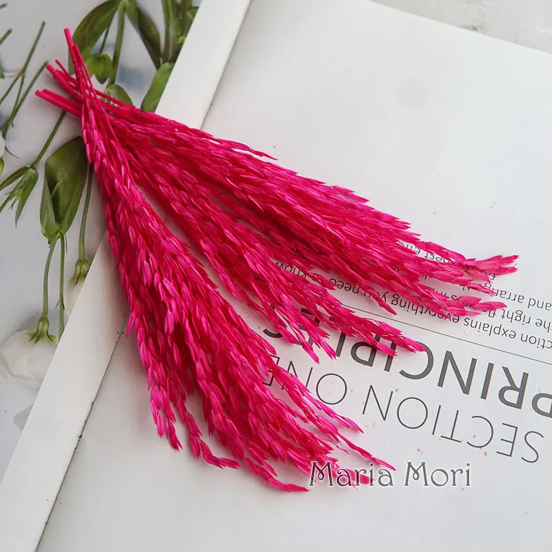 5g  Dried and Dyed Broomcorn for Resin Crafts