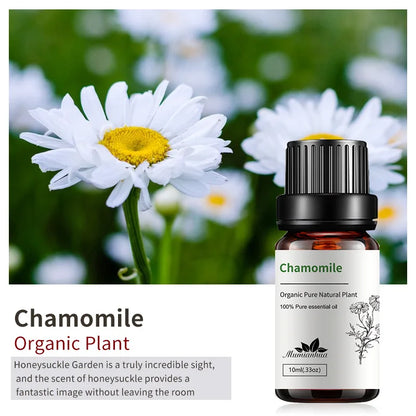 10ml Bottles of Organic Essential Oils for Candle Making
