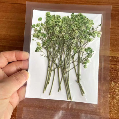 Natural Dried Flowers for Resin Projects